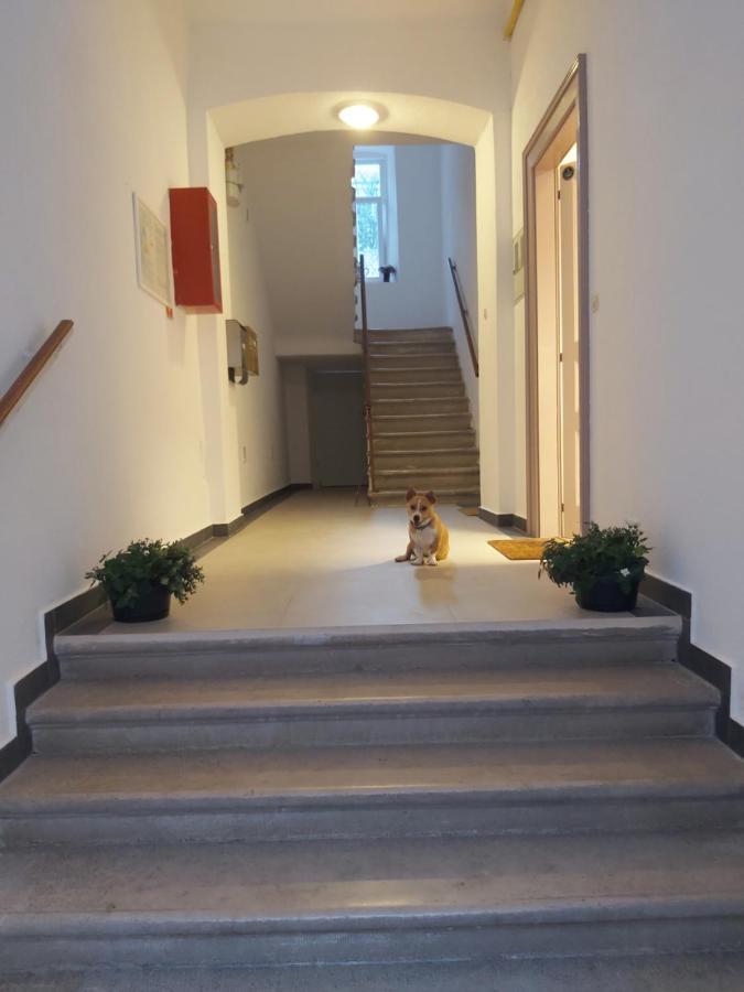 Apartman Draguc Pula Eksteriør billede